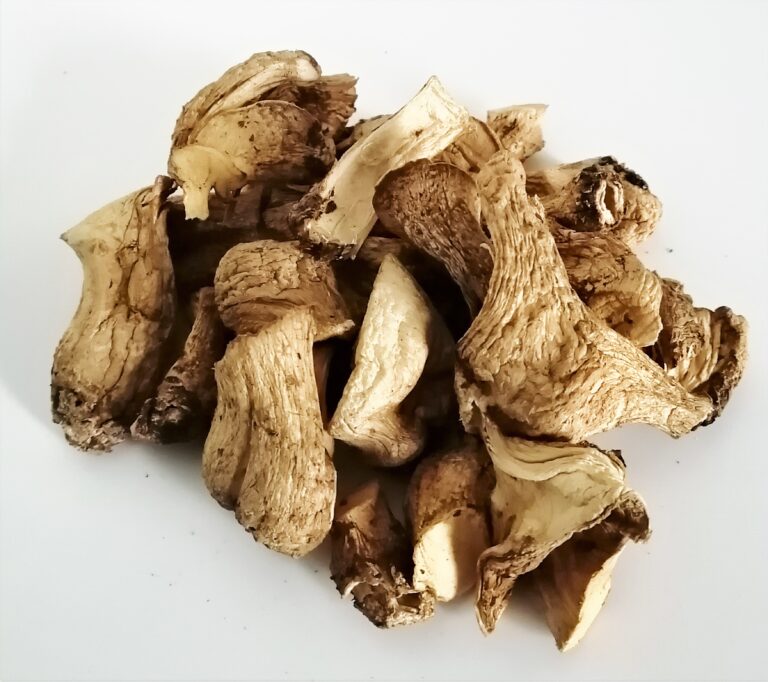 業務用原木栽培干し椎茸（柄）2kg